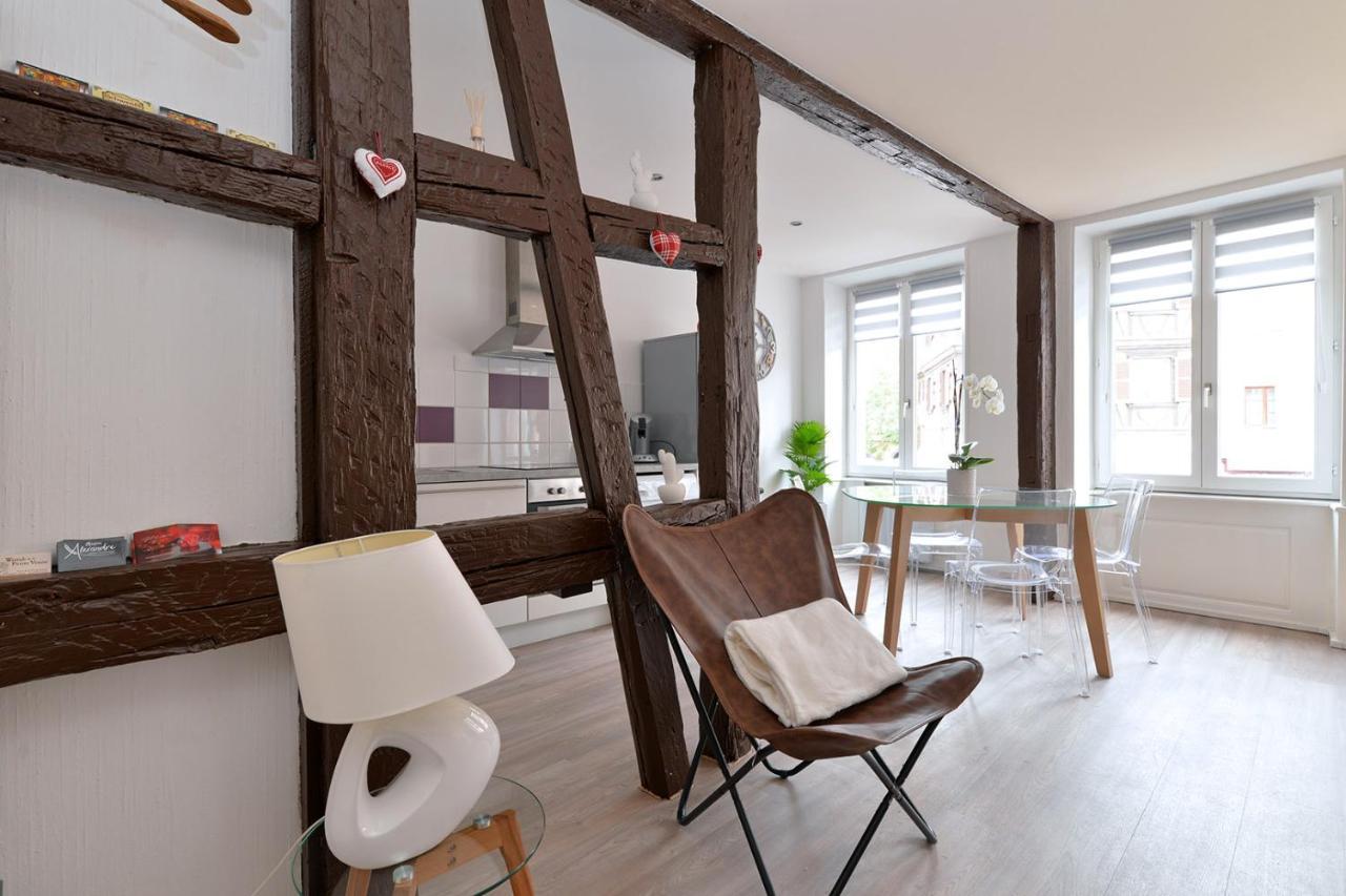 Petite Venise Gite Saint Pierre 2 Pieces 3 Etoiles Classement Tourisme 콜마 외부 사진